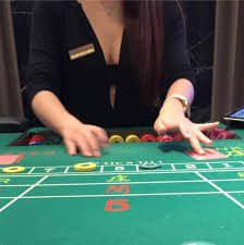 x06 casino